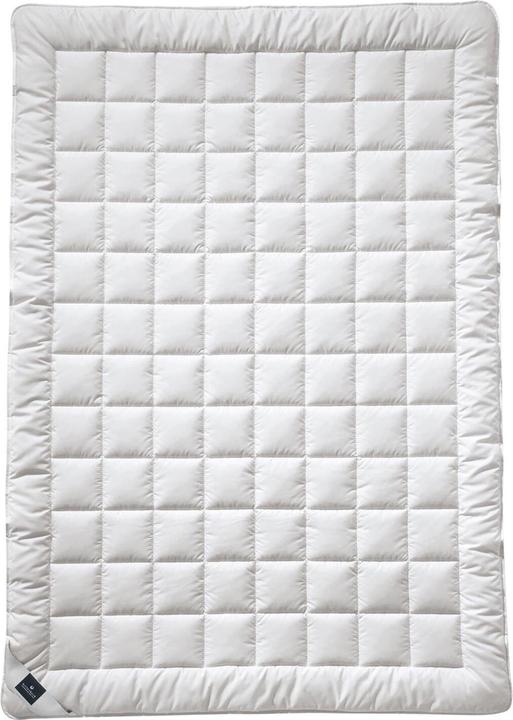 Image du produit Billerbeck Couverture en poils naturels Sari extra léger, garnissage : 100% soie (700 g, 200 x 200 cm)