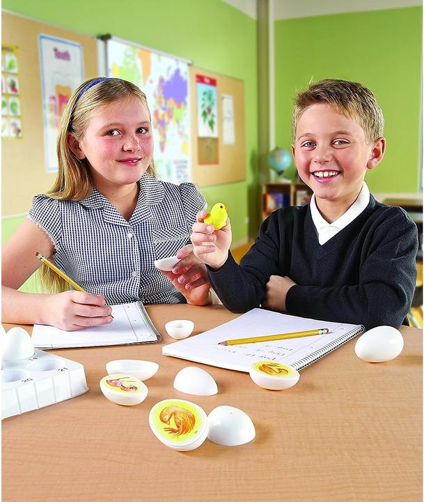 Produktbild Learning Resources Entdeckerset Entwicklungszyklus Hühner-Ei-Modell