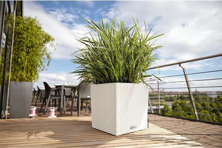 Actual product image Lechuza Cube Cottage (29.50 cm)