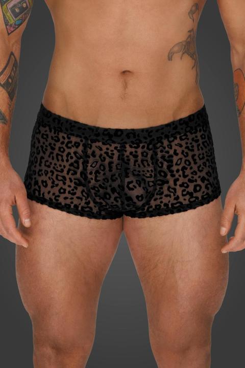 Actual product image Noir Handmade Noir M.Pants leo 2XL (XXL)
