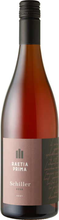 Immagine prodotto Von Salis Schiller Raetia Prima AOC Grigioni (1 x 75 cl, 2022)