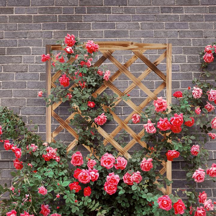 Immagine prodotto Relaxdays Vaso per piante con graticolato (38 cm, 38 cm)