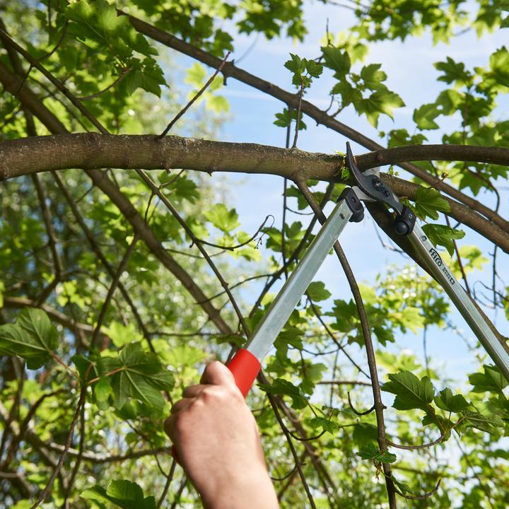 Image du produit Felco 211-50 Élagueur 50 cm