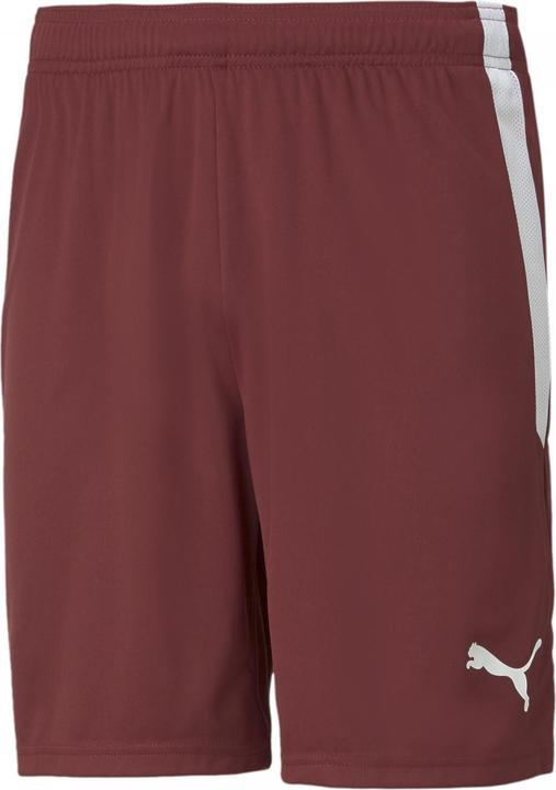 Actual product image Puma teamLIGA Shorts-704924 (M)