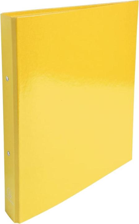 Actual product image Exacompta Wayna (A4, 40 mm, 10 Piece)