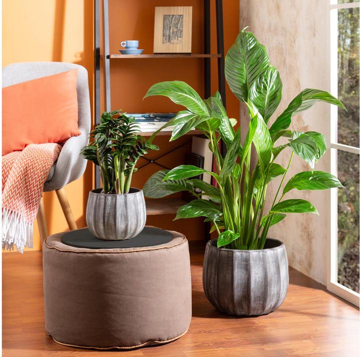 Produktbild Scheurich Blumentopf Runa 2.1 l, Grau (14 x 11 cm)