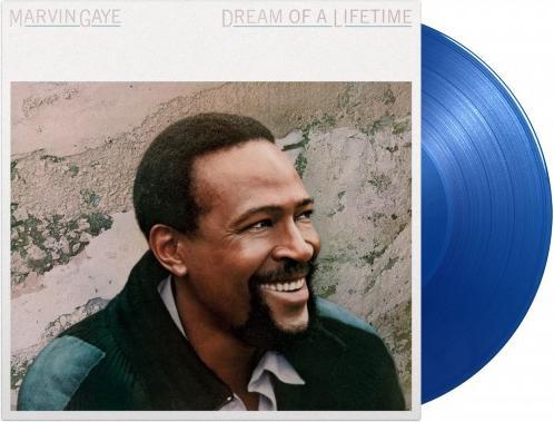 Actual product image Marvin Gaye - Dream Of A Lifetime, Vinyl (Marvin Gaye)