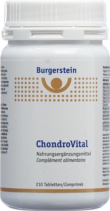 Image du produit Burgerstein Chondrovital (1 pièce(s), Cachets, 328 g)