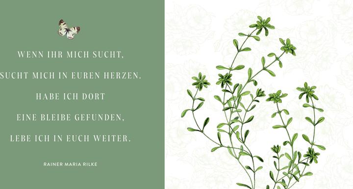 Image du produit Was bleibt, ist die Erinnerung (Allemand, 2024)