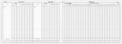 Produktbild ELVE Piq–re "Recettes/D‚penses" Professions lib‚rales