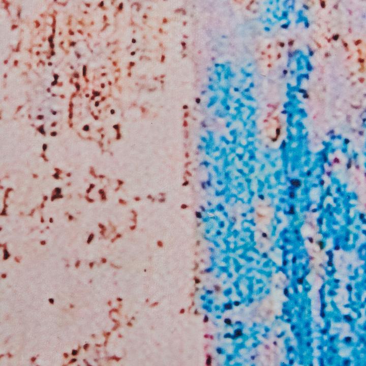 Produktbild Beliani Inegol (150 x 80 cm)