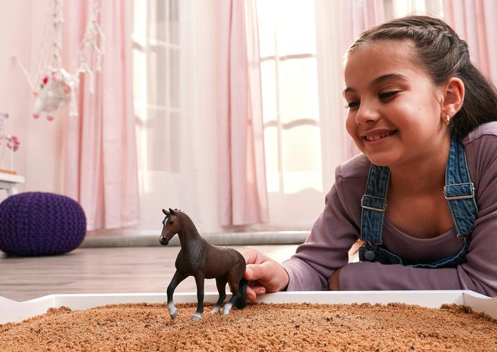 Image du produit Schleich Mustang Hengst