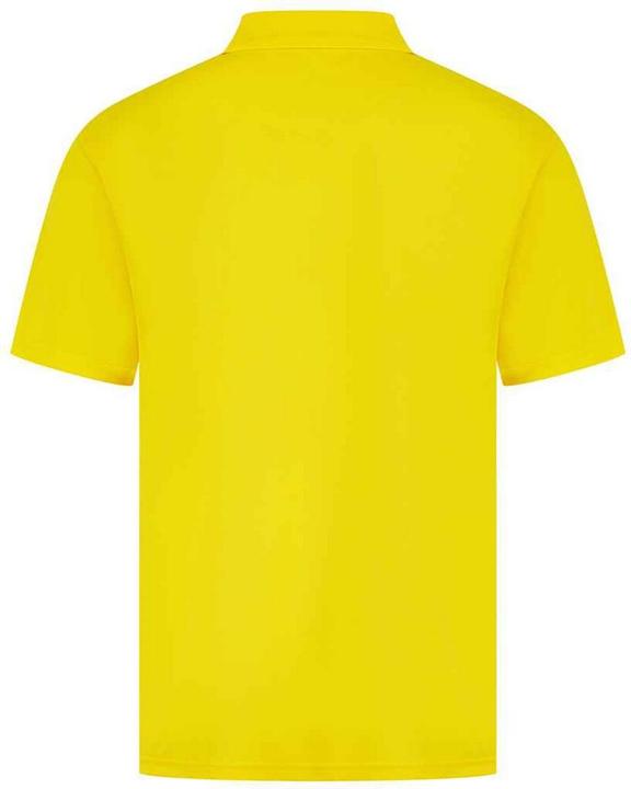 Immagine prodotto Henbury Maglietta Polo Uomo (XS)