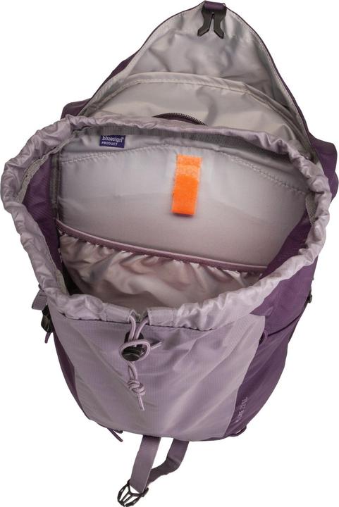Actual product image Deuter Ac Lite 22 (22 l)