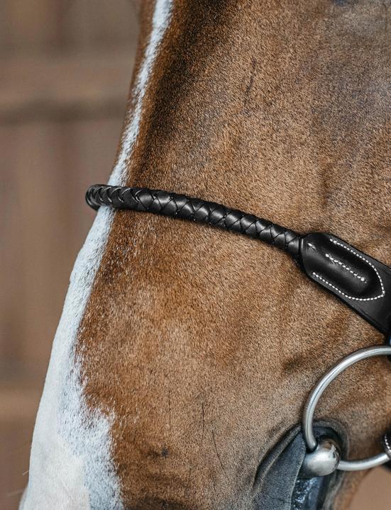 Immagine prodotto Dy'on Cavezza da equitazione inglese combinata a treccia rotonda