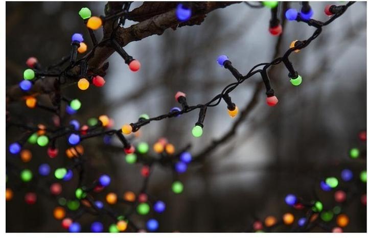 Produktbild Star Trading Berry Mini (6 m)