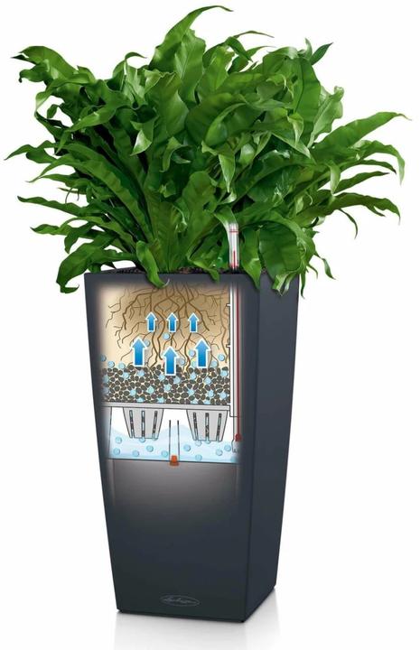 Immagine prodotto Lechuza Cubico Color 30 (29.50 cm)