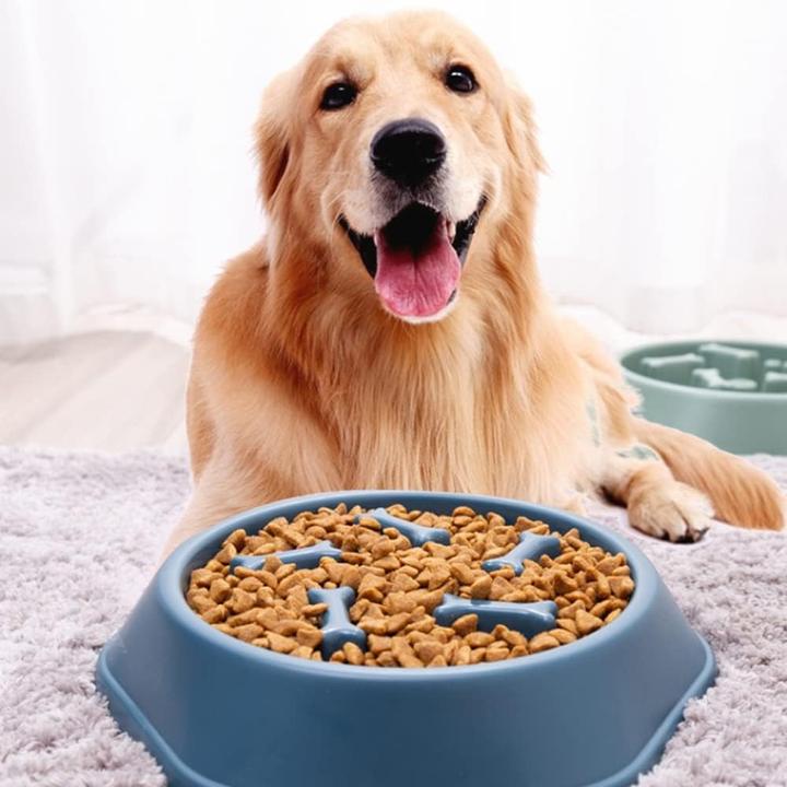 Actual product image Out of the blue Anti Sling Dog Bowl Slow Feeder