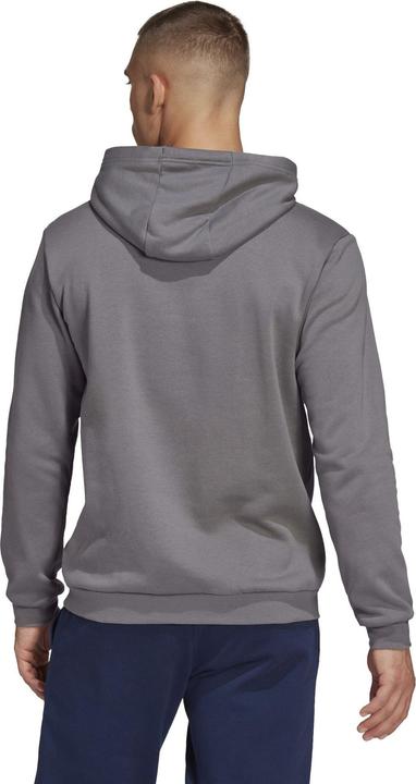 Actual product image adidas Entrada 22 hoodie men (XS)