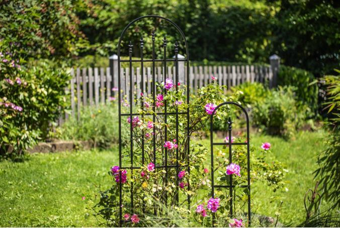 Image du produit Windhager Rampe de fleurs (203 cm, 61 cm)
