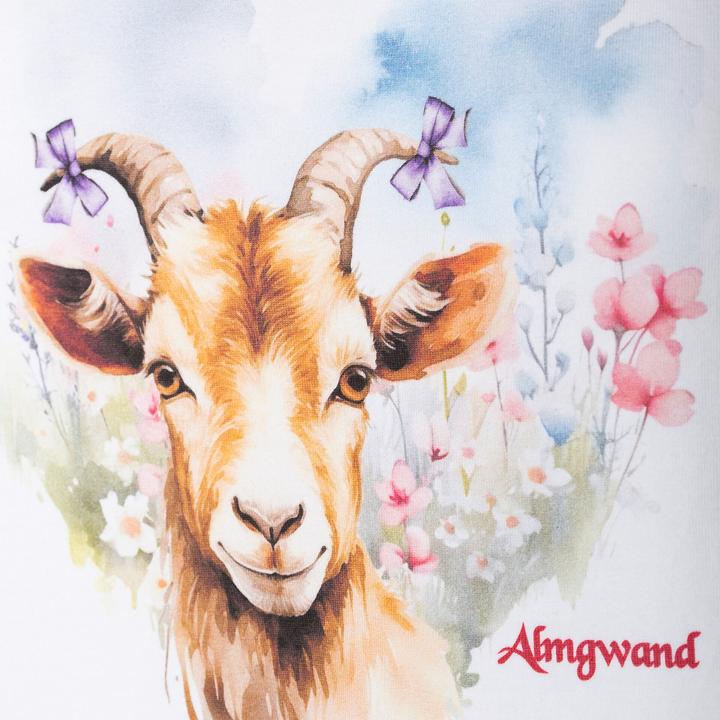 Produktbild Almgwand Reiteralm (M)