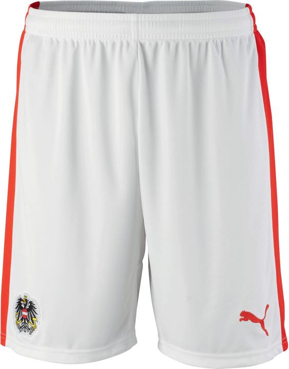 Actual product image Puma Austria EM Shorts (S)