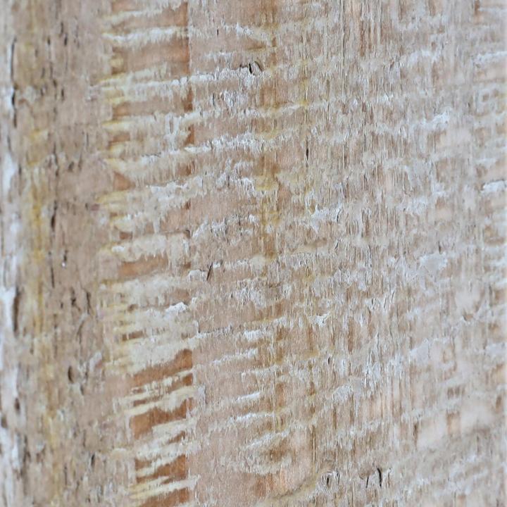 Produktbild JOHN316 Runder Esstisch (120 x 74 cm)