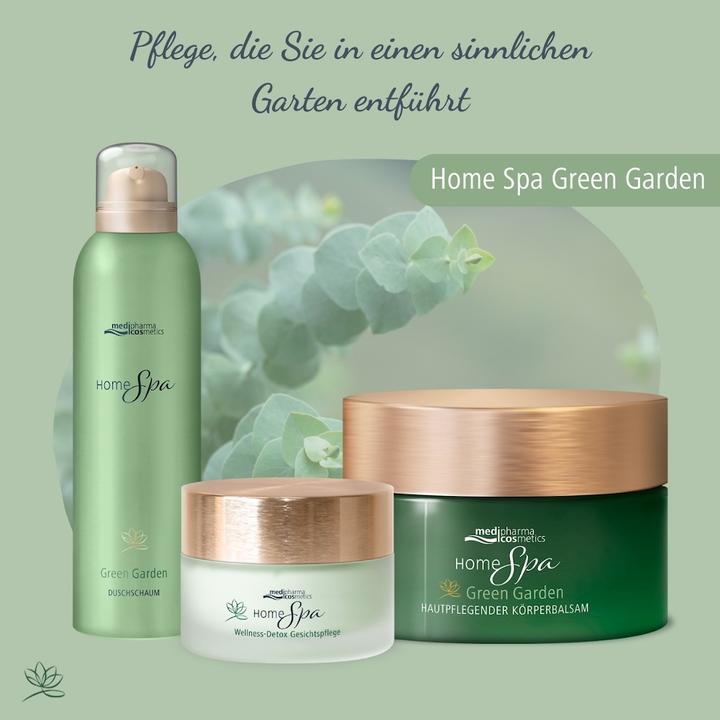 Actual product image Dr. Theiss Home Spa Wellne Detox Gesi, 50 ml CRE (50 ml, Day cream)