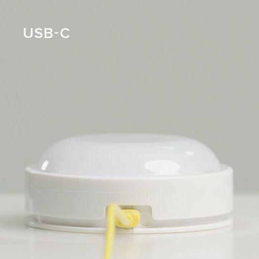 Image du produit Mr Maria Lion