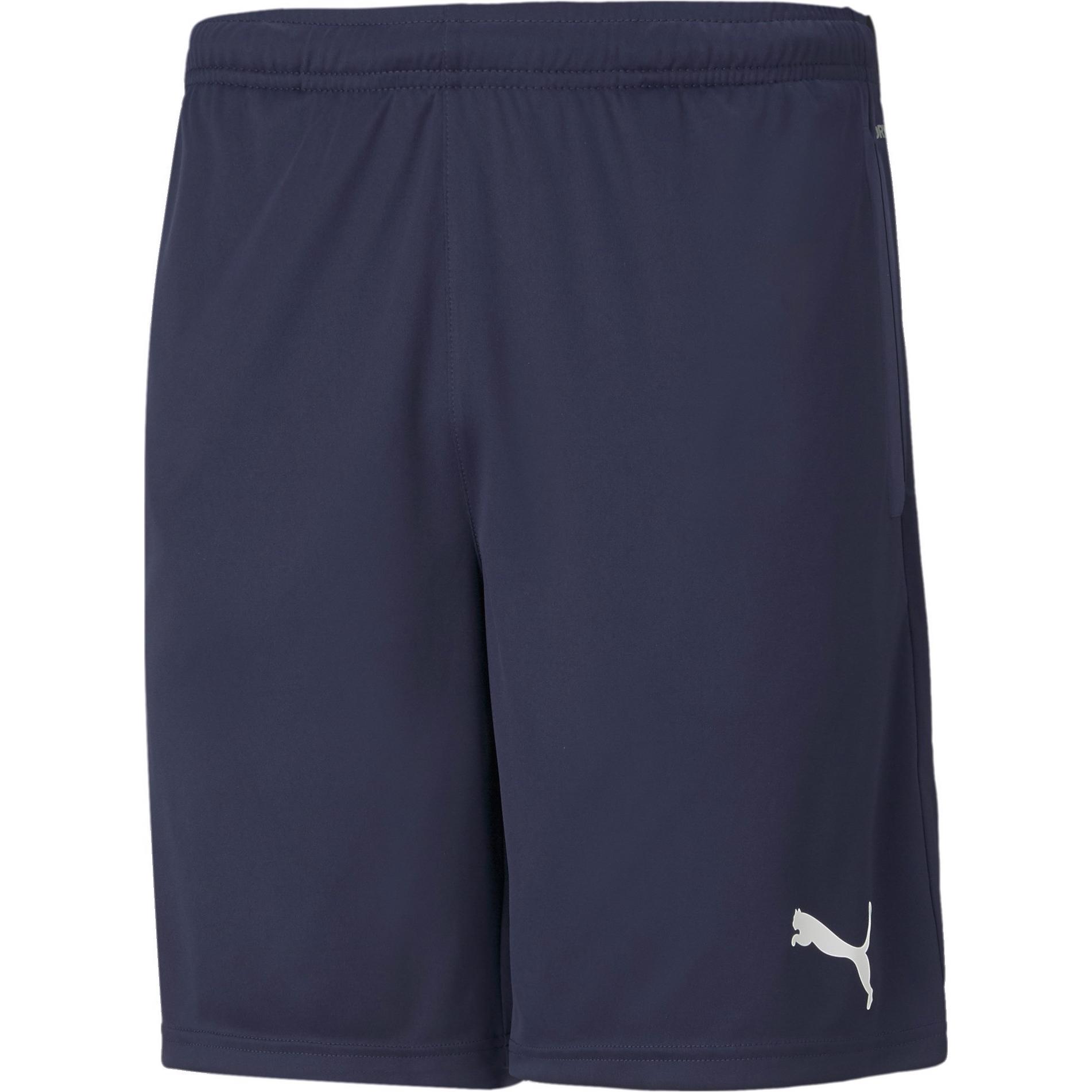 Puma, Herren, Sporthose, teamRISE Training Shorts-657336 (60), Blau, 60