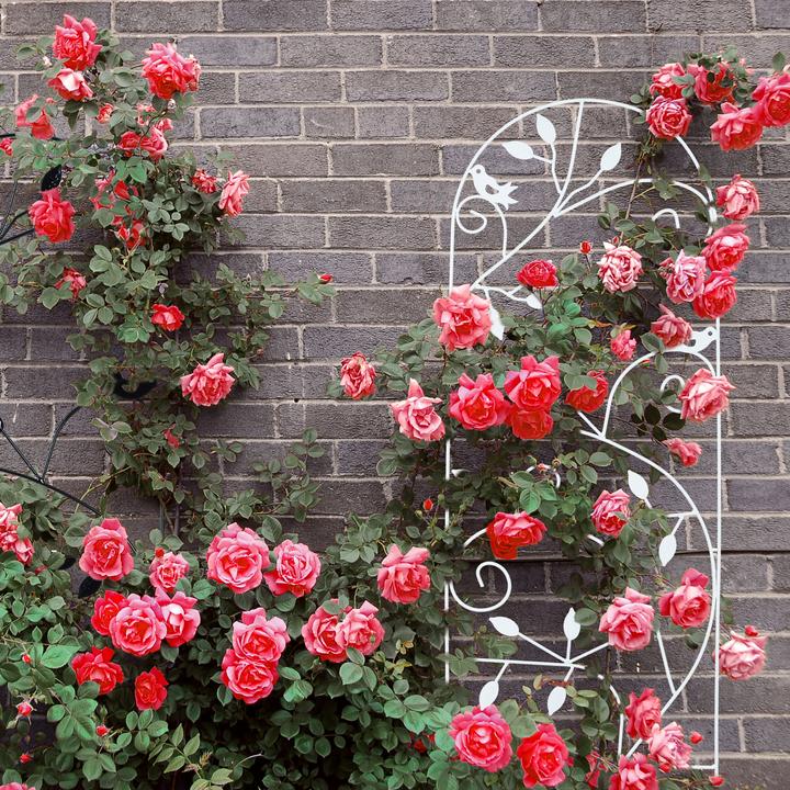 Actual product image Relaxdays Metal Trellis Bird (40 cm, 0.50 cm)