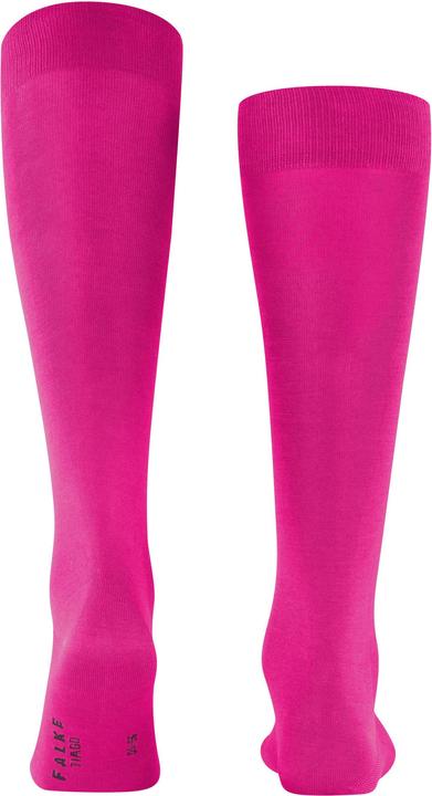Image du produit Falke Tiago (Une unité par pack, 41 - 42)