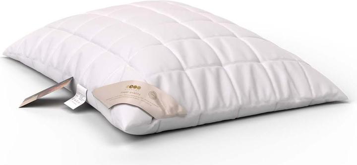 Image du produit Erzstef Objecta Oreiller cuit (50 x 70 cm)