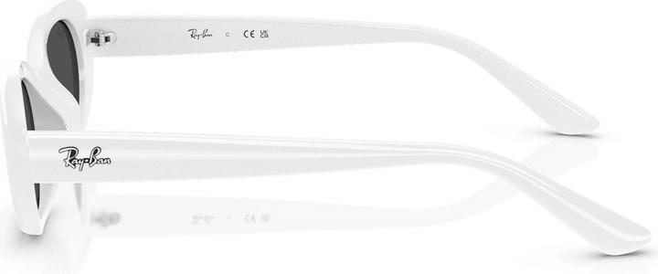 Produktbild Ray Ban RB4441D - Wit