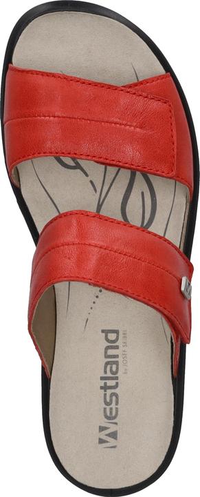 Actual product image Westland 25906-643 (36)