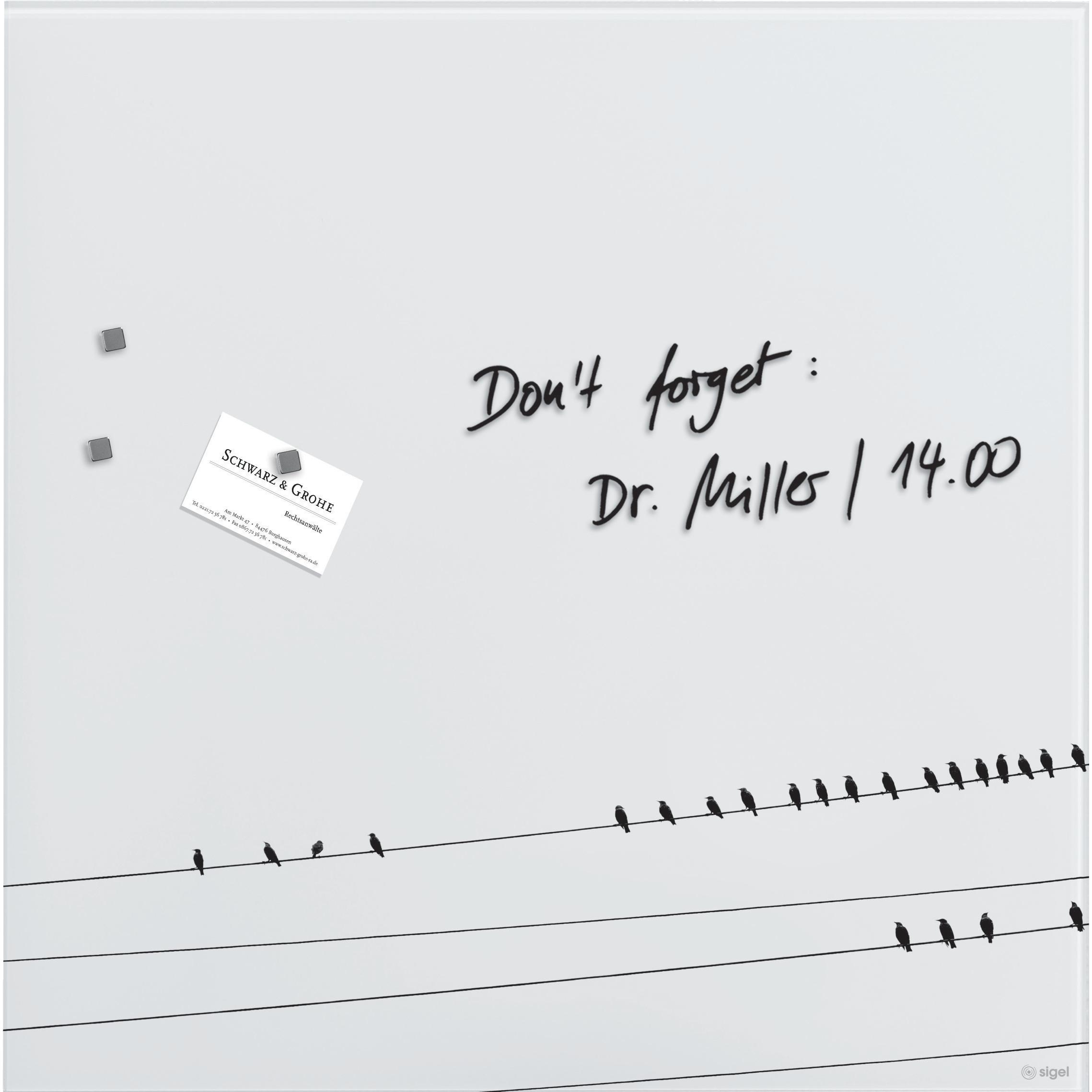 Sigel, Pinnwand, Glas-Magnetboard Artverum mit Design (Magnettafel, 48 x 48 cm)