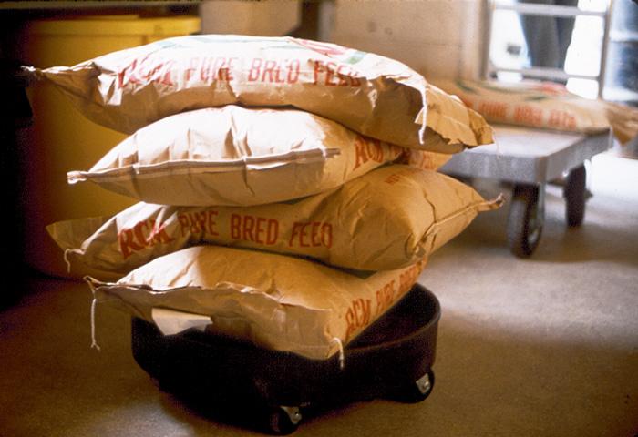 Produktbild kaiserkraft Fahrwagen (226.80 kg)