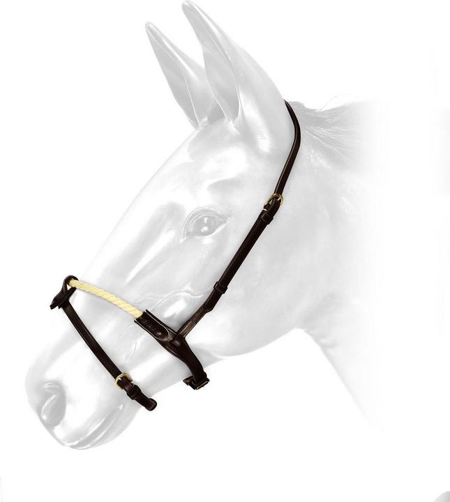 Produktbild Nasenband RNB Leder