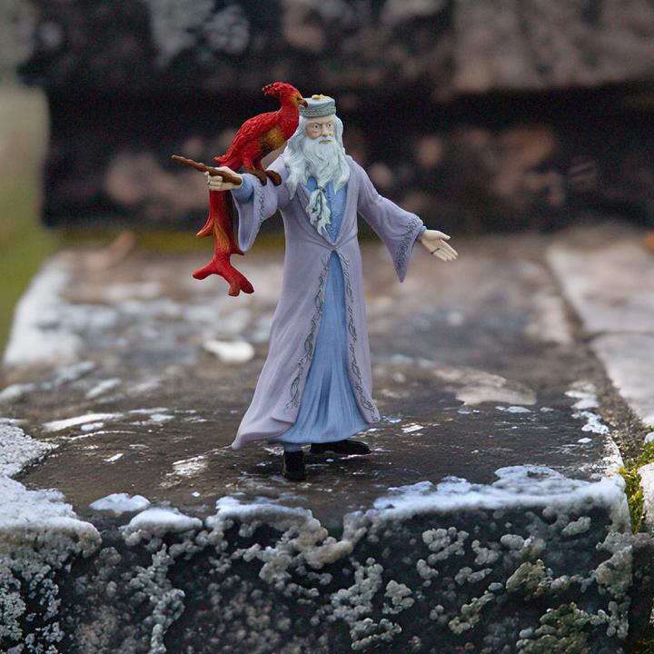 Actual product image Schleich Dumbledore & Fawkes