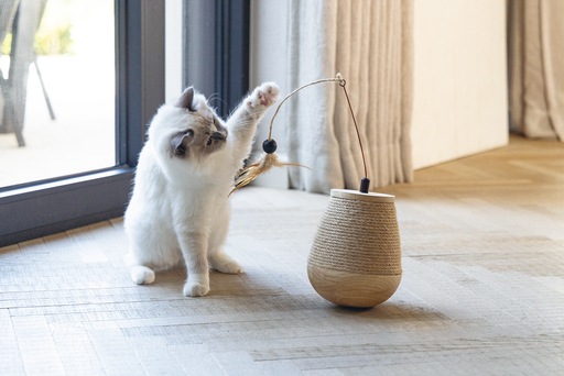 Immagine prodotto Designed by Lotte Tumble Mae (Catmint giocattolo)