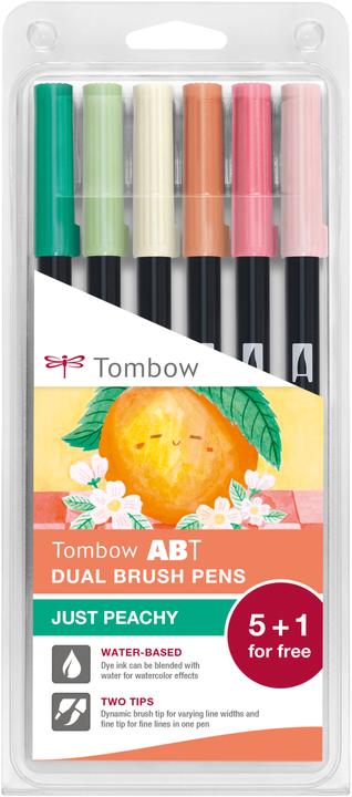 Actual product image Tombow Dual Brush Pen Etui (6 x)