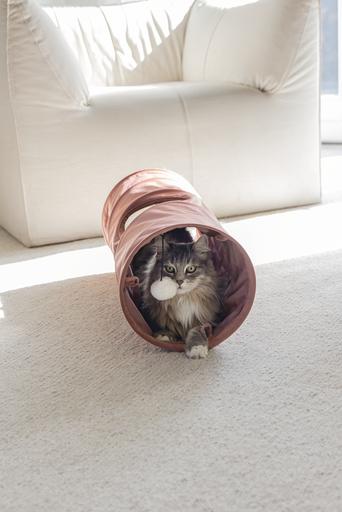 Actual product image Designed by Lotte Cat tunnel Cylla (Cat tunnel)