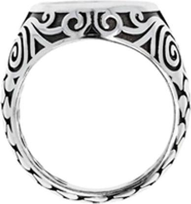 Actual product image Albert M. Herrenring WSOX00173.OX-24 24 (24)