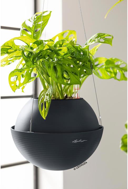 Actual product image Lechuza Flowerpot Bola Color 32 (32 cm)