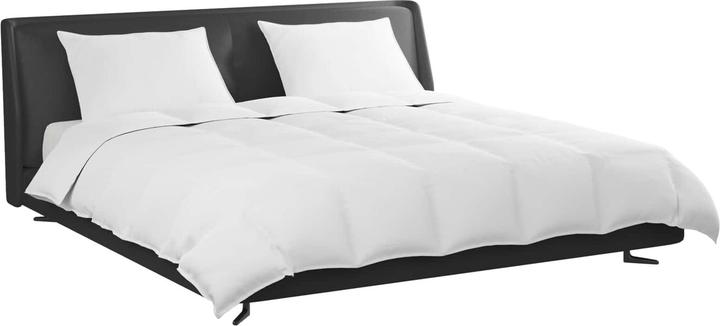 Image du produit vidaXL Bettdecken Set (240 x 220 cm, 50 x 70 cm)