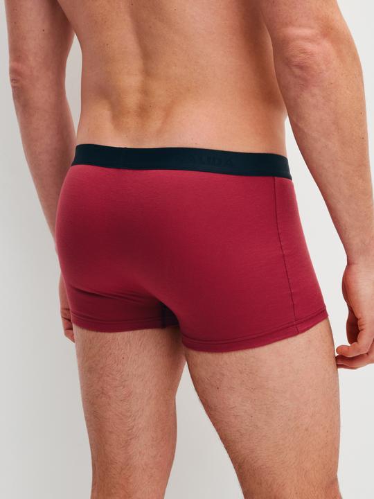 Actual product image Calida Cotton Special Boxershorts (M, pack of 3)