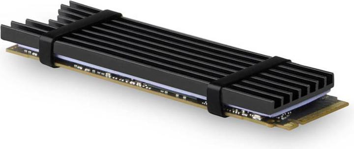 Actual product image Axagon CLR-M2L3