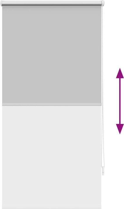 Produktbild vidaXL Verdunkelungsrollos (60 x 120 cm)