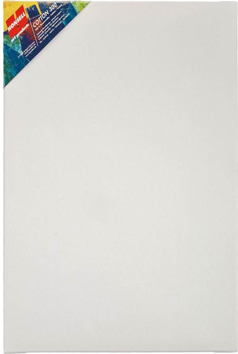 Image du produit Honsell art products Cadre Cotton 300 rectangulaire blanc 40,0 x 60,0 cm (40 x 60 cm)