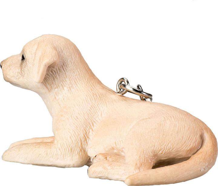 Actual product image Labrador